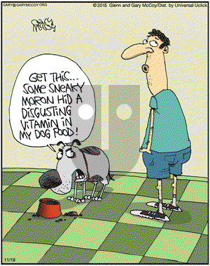 The Flying McCoys on Thursday November 19, 2015 Comic Strip