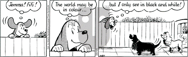 Fred Basset on Tuesday September 9, 2008 Comic Strip