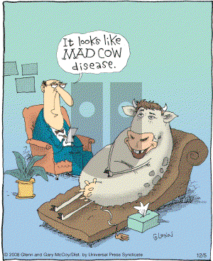 The Flying McCoys on Friday December 5, 2008 Comic Strip