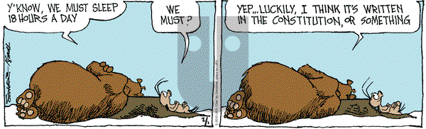The Grizzwells on Friday February 1, 2013 Comic Strip