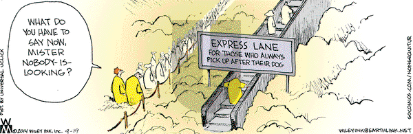 Non Sequitur on Friday September 19, 2014 Comic Strip