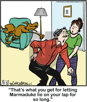 Marmaduke on Tuesday May 5, 2020 Comic Strip