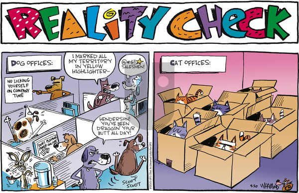 Reality Check on Sunday September 20, 2015 Comic Strip