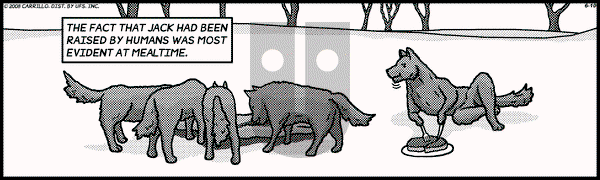 F Minus on Tuesday June 10, 2008 Comic Strip