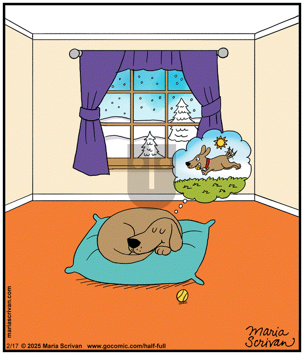 Half Full on Monday February 17, 2025 Comic Strip
