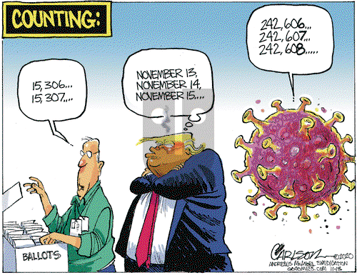 Stuart Carlson on Friday November 13, 2020 Comic Strip