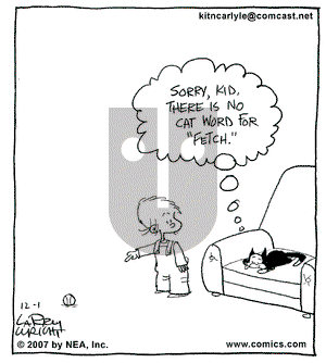 Kit 'N' Carlyle on Saturday December 1, 2007 Comic Strip