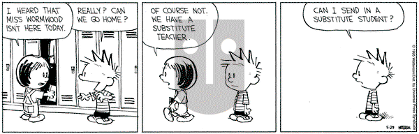 Calvin and Hobbes on Monday May 29, 1995 Comic Strip