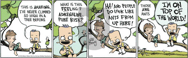 Wallace the Brave on Monday June 25, 2018 Comic Strip