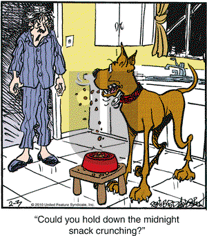 Marmaduke on Wednesday February 3, 2010 Comic Strip