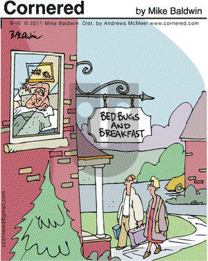 Cornered on Friday August 16, 2019 Comic Strip
