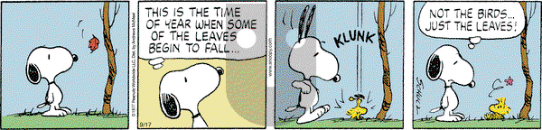 Peanuts - Tuesday September 17, 2024 Comic Strip