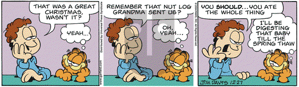 Garfield on Monday December 27, 2004 Comic Strip