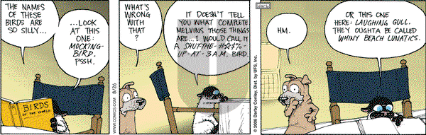 Get Fuzzy on Saturday August 26, 2006 Comic Strip