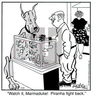 Marmaduke on Friday December 3, 1999 Comic Strip