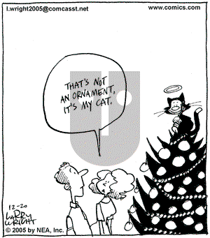 Kit 'N' Carlyle on Tuesday December 20, 2005 Comic Strip
