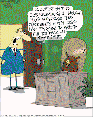 The Flying McCoys - Saturday November 23, 2024 Comic Strip