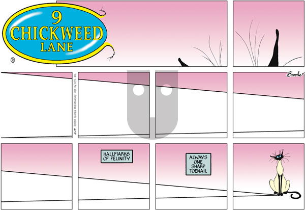 9 Chickweed Lane on Sunday November 19, 2006 Comic Strip