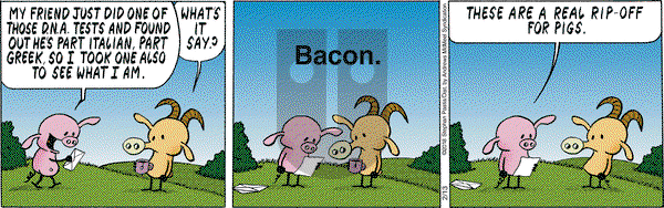 Pearls Before Swine on Tuesday February 13, 2018 Comic Strip