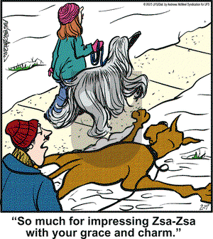 Marmaduke - Monday February 17, 2025 Comic Strip