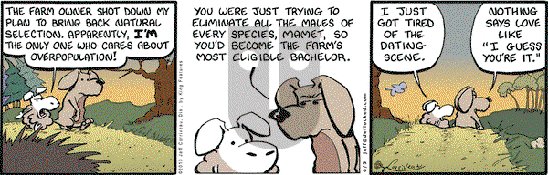 DeFlocked on Saturday June 5, 2010 Comic Strip
