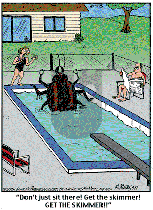 Close to Home on Tuesday June 18, 2024 Comic Strip