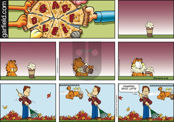 Garfield on Sunday October 18, 2015 Comic Strip