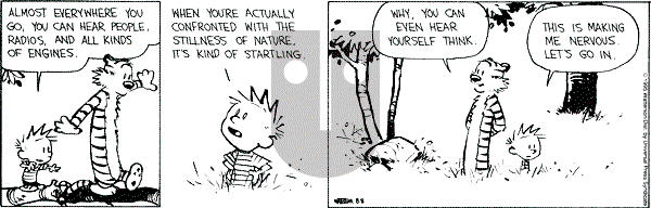 Calvin and Hobbes - Tuesday August 8, 1995 Comic Strip