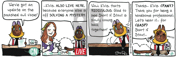 Breaking Cat News on Monday August 17, 2020 Comic Strip