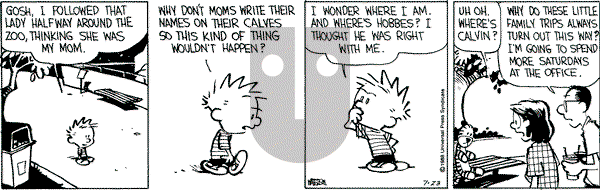 Calvin and Hobbes - Saturday July 23, 1988 Comic Strip