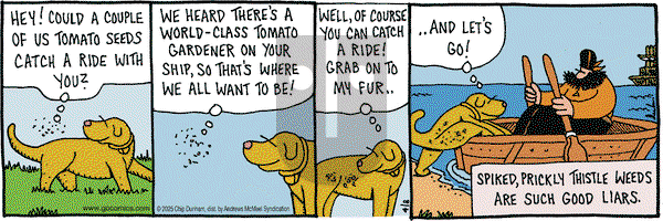 Overboard on Tuesday April 8, 2025 Comic Strip