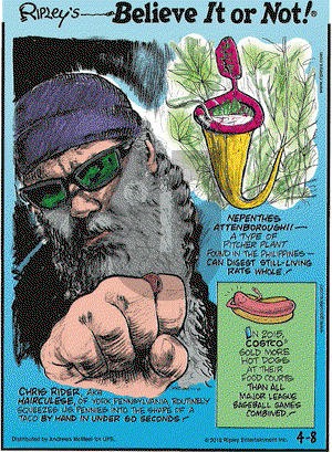 Ripley's Believe It or Not on Thursday April 8, 2021 Comic Strip