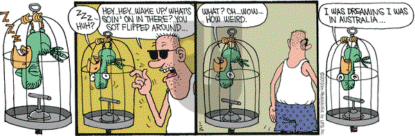 Monty on Saturday January 16, 2010 Comic Strip
