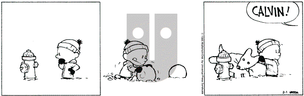 Calvin and Hobbes - Wednesday February 1, 1995 Comic Strip