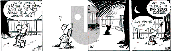 Buckles - Wednesday November 29, 2023 Comic Strip