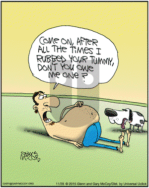 The Flying McCoys on Saturday November 28, 2015 Comic Strip