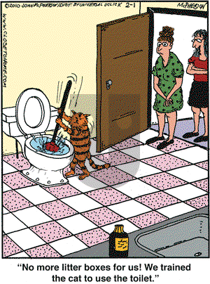 Close to Home - Monday February 1, 2010 Comic Strip