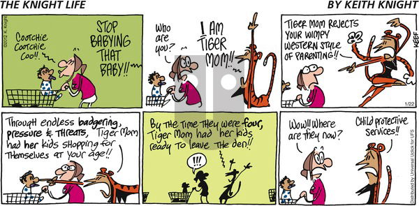 The Knight Life on Sunday January 22, 2012 Comic Strip