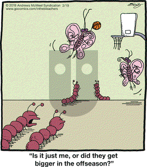 In the Bleachers on Tuesday February 19, 2019 Comic Strip
