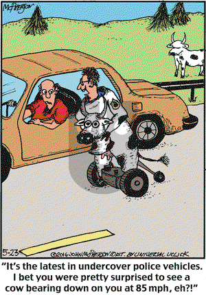 Close to Home on Monday May 23, 2016 Comic Strip