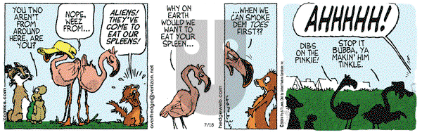 Over the Hedge on Tuesday July 18, 2006 Comic Strip