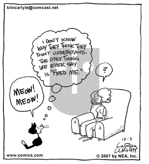 Kit 'N' Carlyle on Monday December 3, 2007 Comic Strip