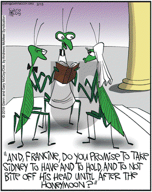 The Flying McCoys on Wednesday February 13, 2019 Comic Strip