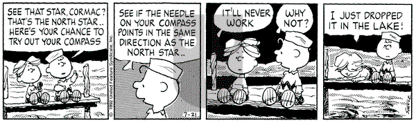 Peanuts on Tuesday July 21, 1992 Comic Strip