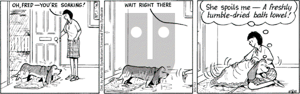 Fred Basset on Thursday May 12, 2005 Comic Strip