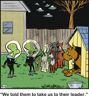 Marmaduke on Monday March 16, 2020 Comic Strip