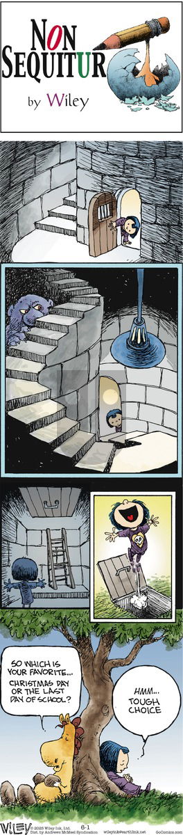 Non Sequitur on Sunday June 1, 2025 Comic Strip