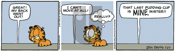 Garfield on Friday July 27, 2007 Comic Strip