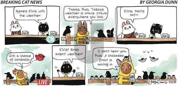 Breaking Cat News on Sunday June 25, 2017 Comic Strip