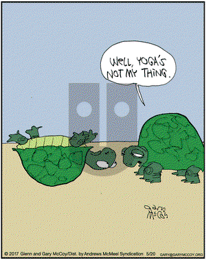 The Flying McCoys on Saturday May 20, 2017 Comic Strip
